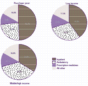 Figure 21: How does the distribution of expenses vary by poverty status?