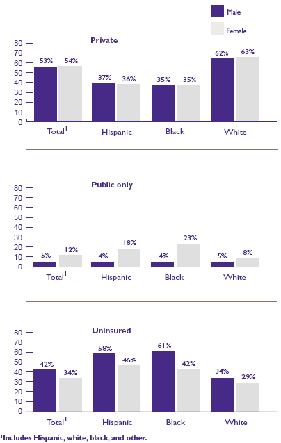 Figure 3. Young adults ages 19-24--health insurance status: First half of 1996