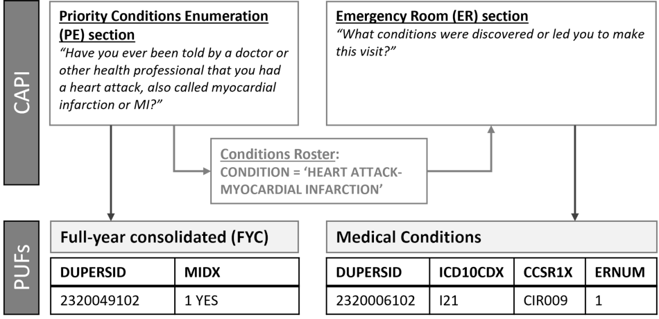 Figure displays: Example Schematic From 2019 Data Demonstrating Relationship Between Survey Sections, Conditions Roster, and PUFs