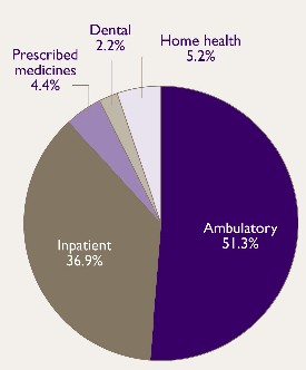 Figure 1.  Pie Chart - See text conversion below for details.