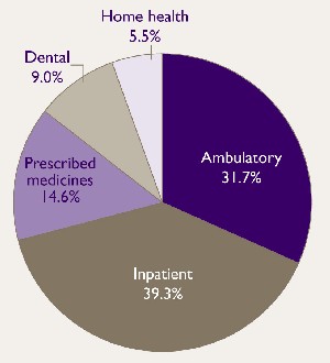 Figure 2.  Pie Chart - See text conversion below for details.