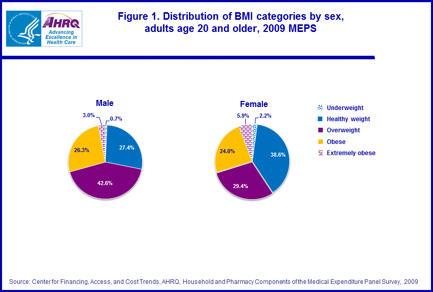 Figure data for accessible table follows the image