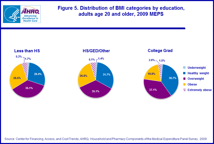 Figure data for accessible table follows the image