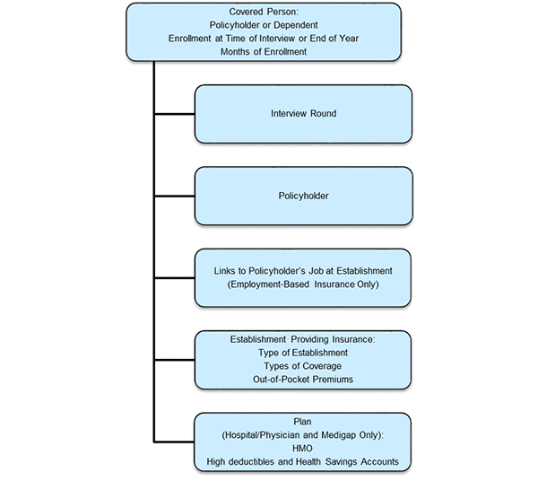 Flowchart depicting five types of record information for covered persons.