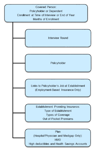 Flowchart depicting five types of record information for covered persons. 